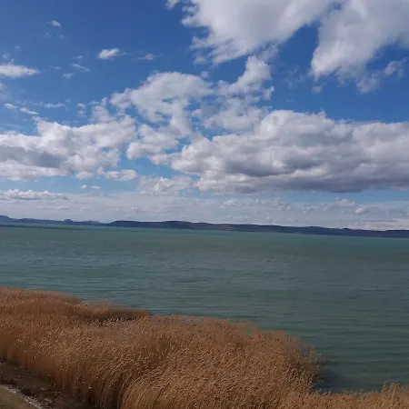 Hotell Otp Balatonszárszó